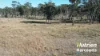 "Sixty-Two" Rennicks Road, Chinchilla, Qld 4413-Image