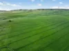 'Southams' Ireland Road, Mundoora SA 5555-Image