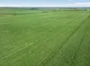 'Southams' Ireland Road, Mundoora SA 5555-Image