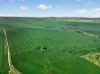 'Southams' Ireland Road, Mundoora SA 5555-Image