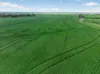 'Southams' Ireland Road, Mundoora SA 5555-Image