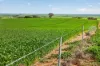 'Southams' Ireland Road, Mundoora SA 5555-Image