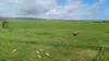 'Spackys' 12 Corella Road, Mundoora, SA 5555-Image