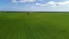'Spackys' 12 Corella Road, Mundoora, SA 5555-Image