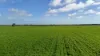 'Spackys' 12 Corella Road, Mundoora, SA 5555-Image
