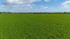 'Spackys' 12 Corella Road, Mundoora, SA 5555-Image