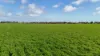 'Spackys' 12 Corella Road, Mundoora, SA 5555-Image