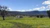 "Spring Flats" 1131 Timor Mountain Road, Maules Creek, NSW 2382
