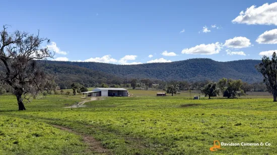 "Spring Flats" 1131 Timor Mountain Road, Maules Creek, NSW 2382