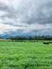 "Spring Flats" 1131 Timor Mountain Road, Maules Creek, NSW 2382-Image