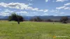 "Spring Flats" 1131 Timor Mountain Road, Maules Creek, NSW 2382-Image