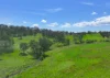 'Springfield' 546 Gallymont Road, Mandurama NSW 2792-Image