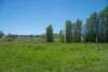'Springfield' 546 Gallymont Road, Mandurama NSW 2792-Image