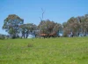 'Springfield' 546 Gallymont Road, Mandurama NSW 2792-Image