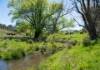 'Springfield' 546 Gallymont Road, Mandurama NSW 2792-Image