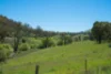 'Springfield' 546 Gallymont Road, Mandurama NSW 2792-Image