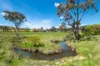 'Springfield' 546 Gallymont Road, Mandurama NSW 2792-Image