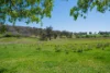 'Springfield' 546 Gallymont Road, Mandurama NSW 2792-Image