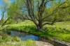 'Springfield' 546 Gallymont Road, Mandurama NSW 2792-Image