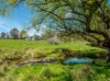 'Springfield' 546 Gallymont Road, Mandurama NSW 2792-Image