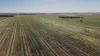 Stirlings, Pompies & Town, Loxton, SA 5333-Image