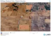 Stirlings, Pompies & Town, Loxton, SA 5333-Floorplan