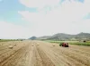 Summers Road, Coalstoun Lakes, Qld 4621-Image