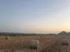 Summers Road, Coalstoun Lakes, Qld 4621-Image