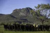 'Tanamera' Allambie Road, Bellata, NSW 2397