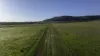 'Tanamera' Allambie Road, Bellata, NSW 2397-Image
