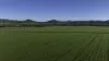 'Tanamera' Allambie Road, Bellata, NSW 2397-Image