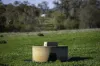 'Tanamera' Allambie Road, Bellata, NSW 2397-Image
