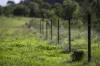 'Tanamera' Allambie Road, Bellata, NSW 2397-Image