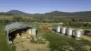 'Tanamera' Allambie Road, Bellata, NSW 2397-Image