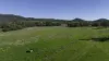 'Tanamera' Allambie Road, Bellata, NSW 2397-Image