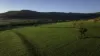 'Tanamera' Allambie Road, Bellata, NSW 2397-Image