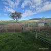 Tatiara Farm, Gilliminning Road, Wickepin, WA 6370-Image
