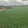 Tatiara Farm, Gilliminning Road, Wickepin, WA 6370-Image