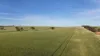 'The Gap' Wilkins Highway, Huddleston, SA 5523-Image