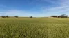 'The Gap' Wilkins Highway, Huddleston, SA 5523-Image