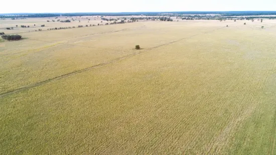 'The Haven' 1164 Moores Bice Road, Drillham, Qld 4424