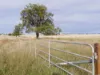 'The Haven' 1164 Moores Bice Road, Drillham, Qld 4424-Image