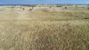 'The Haven' 1164 Moores Bice Road, Drillham, Qld 4424-Image