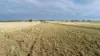 'The Haven' 1164 Moores Bice Road, Drillham, Qld 4424-Image