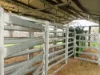 'The Haven' 1164 Moores Bice Road, Drillham, Qld 4424-Image