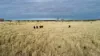 'The Haven' 1164 Moores Bice Road, Drillham, Qld 4424-Image