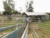 'The Haven' 1164 Moores Bice Road, Drillham, Qld 4424-Image