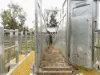 'The Haven' 1164 Moores Bice Road, Drillham, Qld 4424-Image