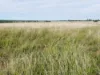 'The Haven' 1164 Moores Bice Road, Drillham, Qld 4424-Image