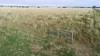 'The Haven' 1164 Moores Bice Road, Drillham, Qld 4424-Image